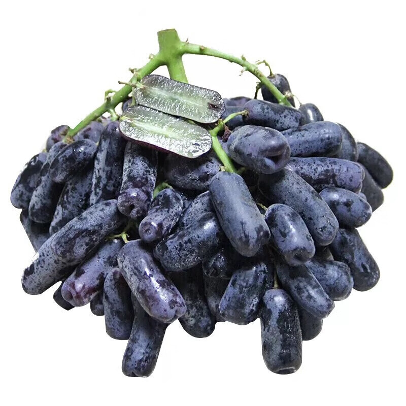 瀚部澳洲金手指葡萄 黑加仑无籽黑葡萄手指蓝宝石拇指葡萄提子整箱 3