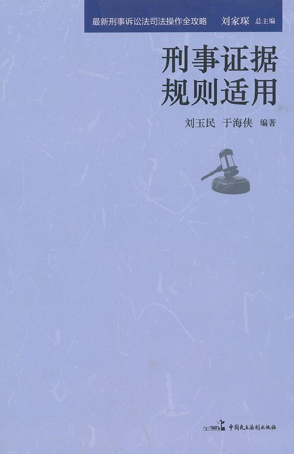 刑事证据规适用 刘家琛 法律 9787516200254