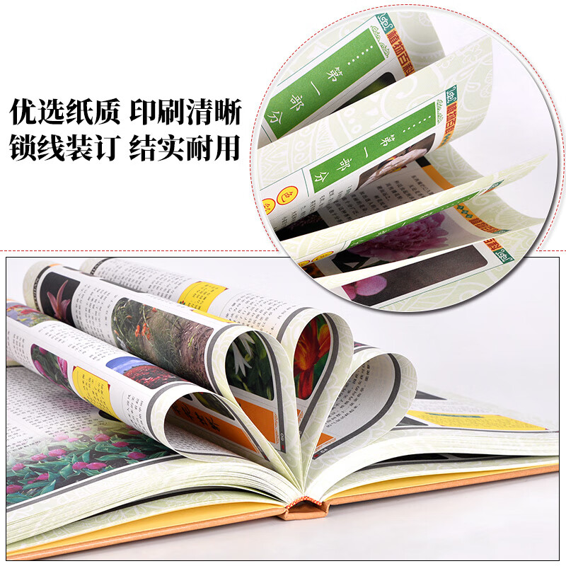植物百科（套装共4册 彩色图鉴）详情图