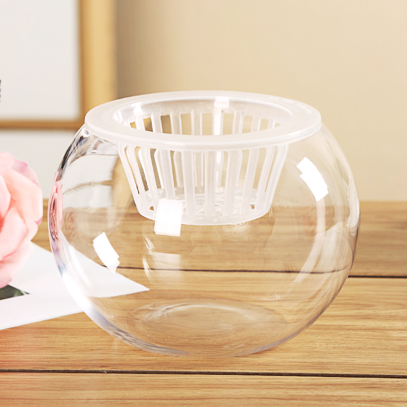 行湘 25圆球玻璃花瓶创意水培植物玻璃花盆透明水养绿萝花盆容器插花玻璃花瓶  25圆球玻璃花盆+定植蓝