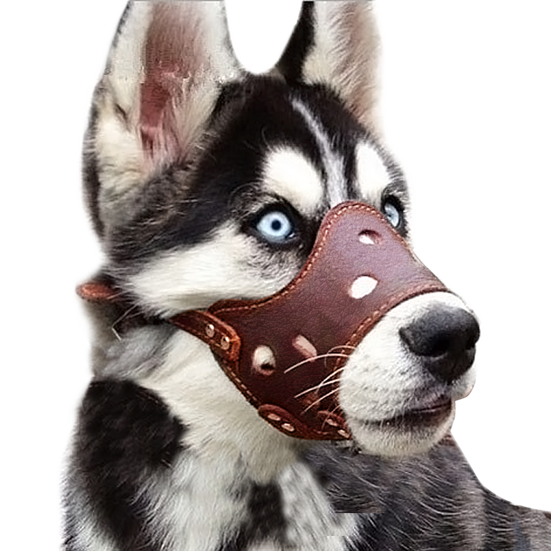 哈特丽宠物外出用品-高品质产品历史价格走势及评测|怎样查外出用品历史价