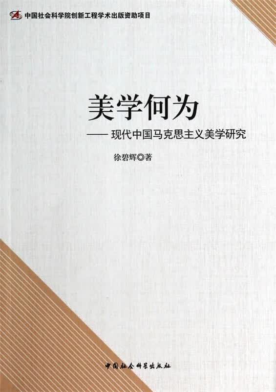 美学何为 徐碧辉著【正版书】