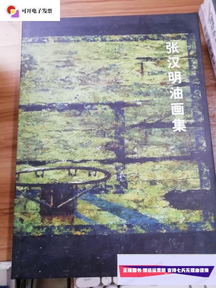 【二手9成新】张汉明油画集 /张汉明