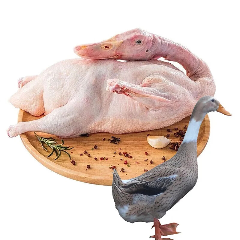 苏翁罗拉 鸭子新鲜速冻正宗农家散养土鸭整只白条鸭烤鸭食材鸭肉生鲜 一只白条鸭(2斤左右/只)