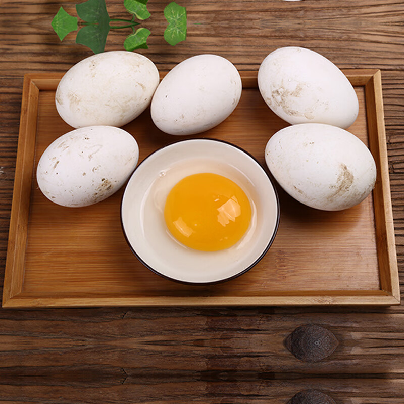 均鲜 新鲜鹅蛋杂粮喂养农家现捡田园养殖正宗大鹅蛋特产孕妇胎毒 6枚