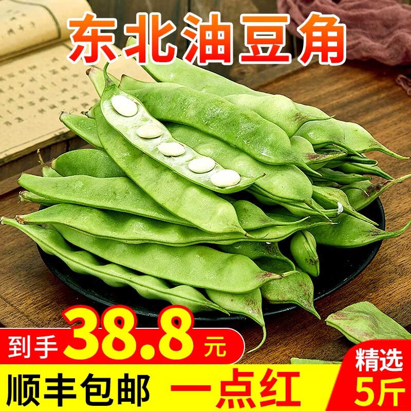 卫青沙窝(顺丰)东北油豆角九月青一点红大豇豆农家特产新鲜蔬菜 5斤装