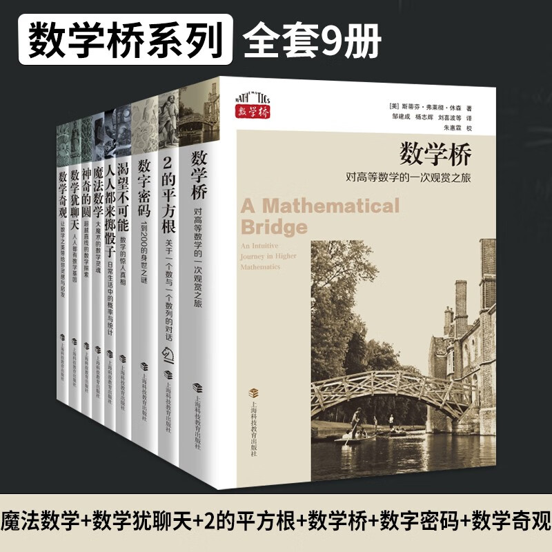 正版 全9册 数学桥系列 2的平方根 数字密码渴望不可能人人都来掷骰子