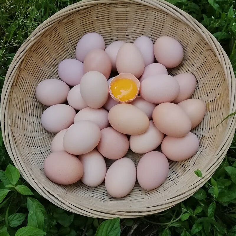 山土御品林地柴鸡蛋 特产绿壳乌鸡蛋农家土鸡蛋30枚装送礼 山土白壳