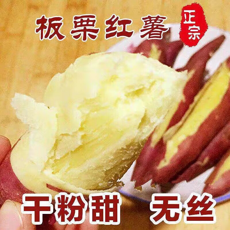 白心红薯板栗薯现挖现发农家老品种地瓜新鲜白瓤番薯红苕 大薯带箱9