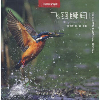 飞羽瞬间【正版特惠】
