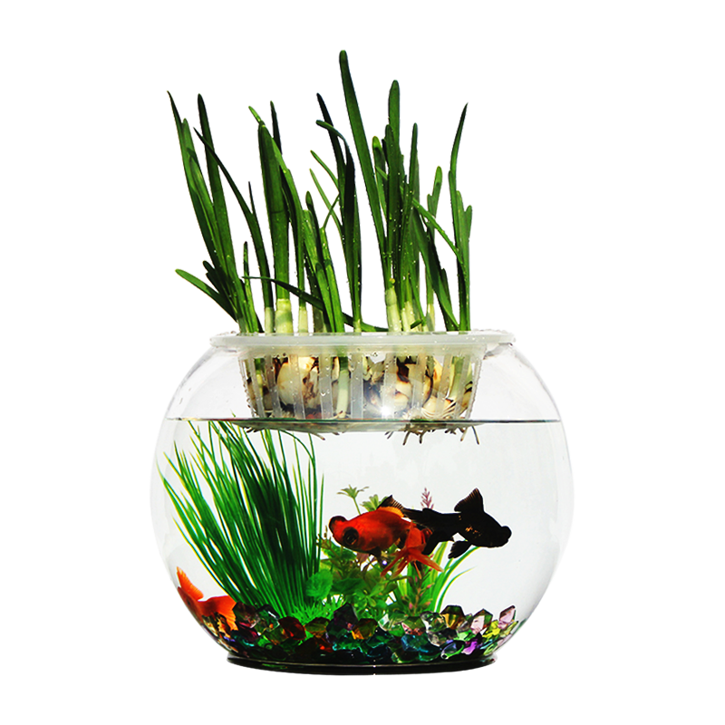 ���� С��� ����� С��������� ���ÿ������ Բ�β������20cm 21.68Ԫ(������)