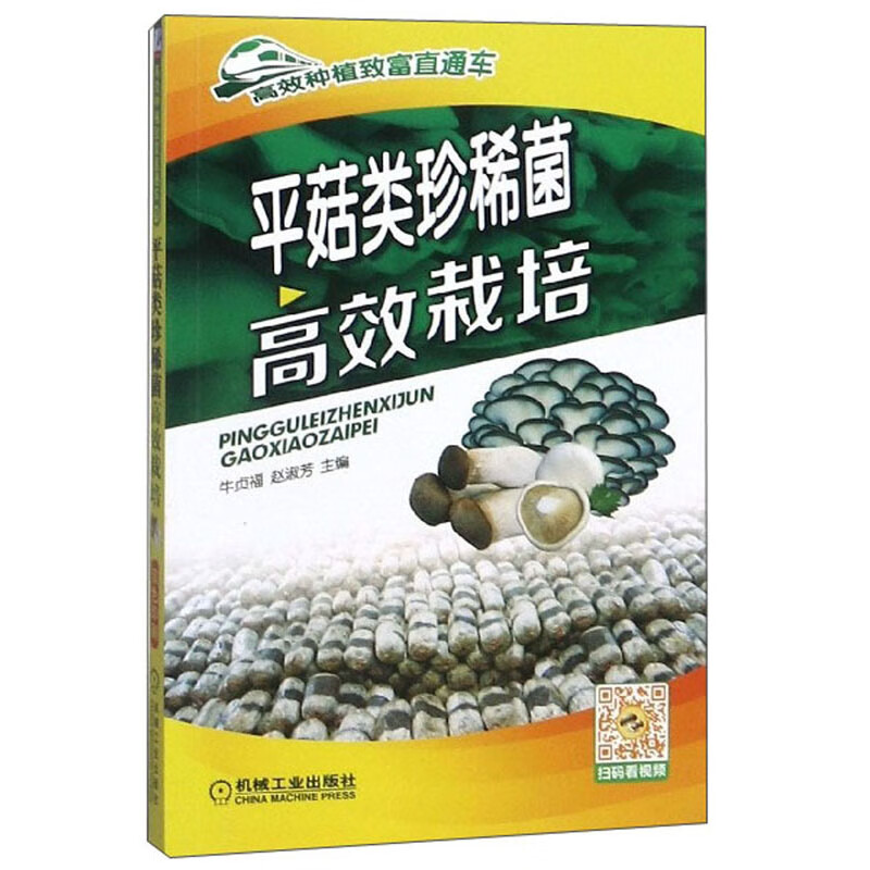 平菇类珍稀菌高效栽培/高效种植致富直通车怎么看?