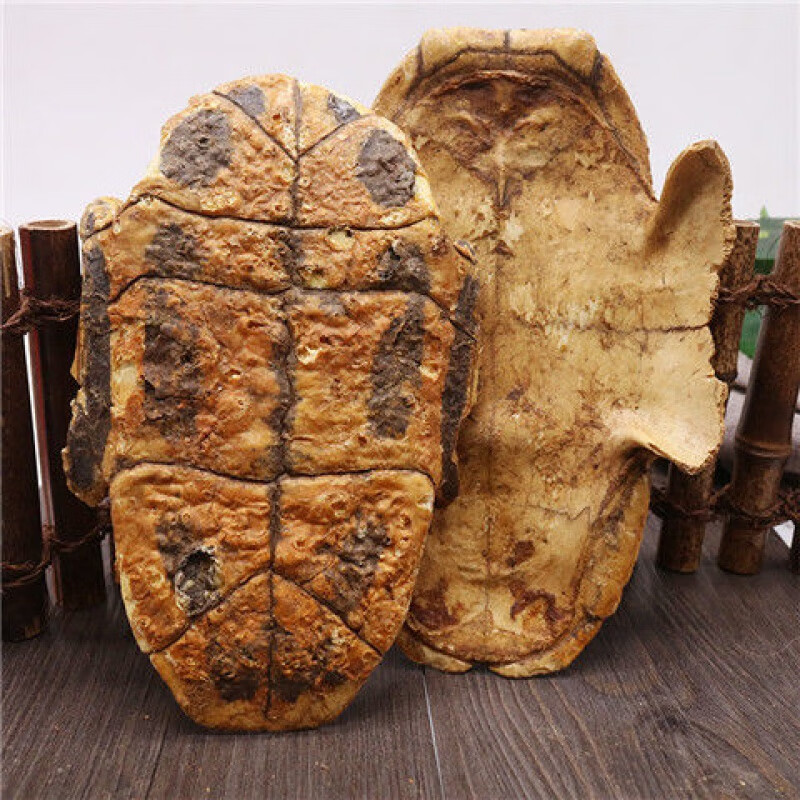 佑康泰醋龟板食滋补醋制炙龟板炒龟板粉龟壳下甲生晒龟板乌龟壳可磨细