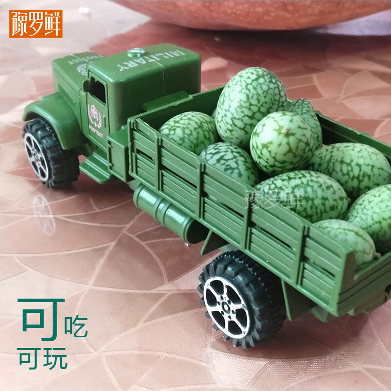 现摘新鲜拇指西瓜水果迷你小西瓜佩普基诺时令手指西瓜袖珍新奇 125克拇指西瓜