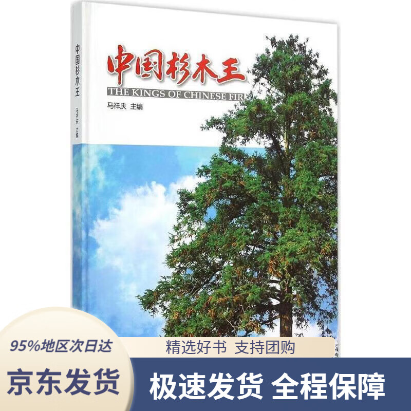 【满59包邮】中国杉木王