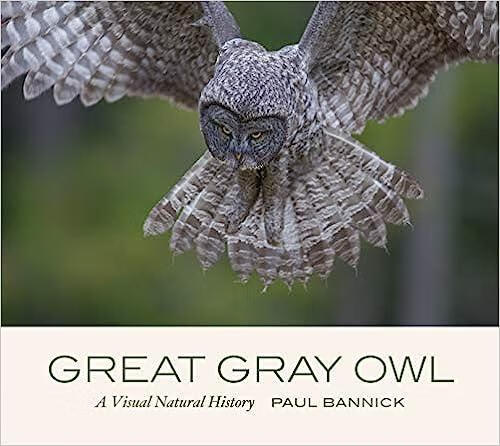 预订 great gray owl: a visual natural history