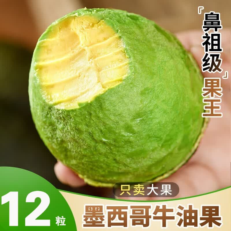 觅百果墨西哥牛油果新鲜水果大果当季应季进口一级鳄梨生鲜孕妇减脂整箱 4粒鼻祖级【180-210g】稀世果王