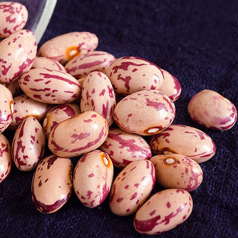 花豆 豆皮doupi 豆皮网 花豆 豆皮doupi 豆皮网