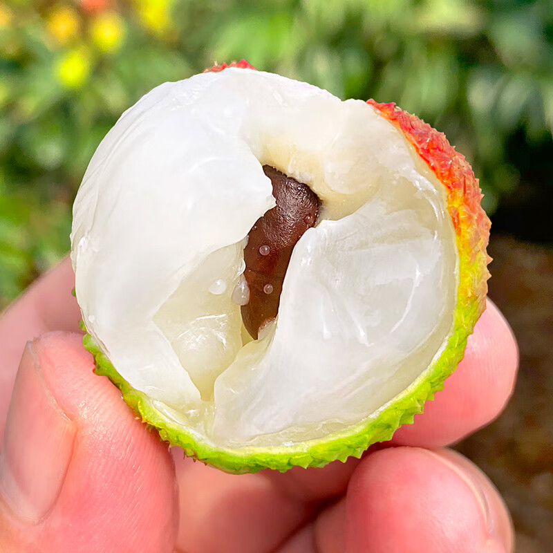 京橙美锦【顺丰冷链】海南妃子笑老树荔枝新鲜现摘当季水果礼盒糖白罂味桂 净重3斤大果【精品装】单果20g+