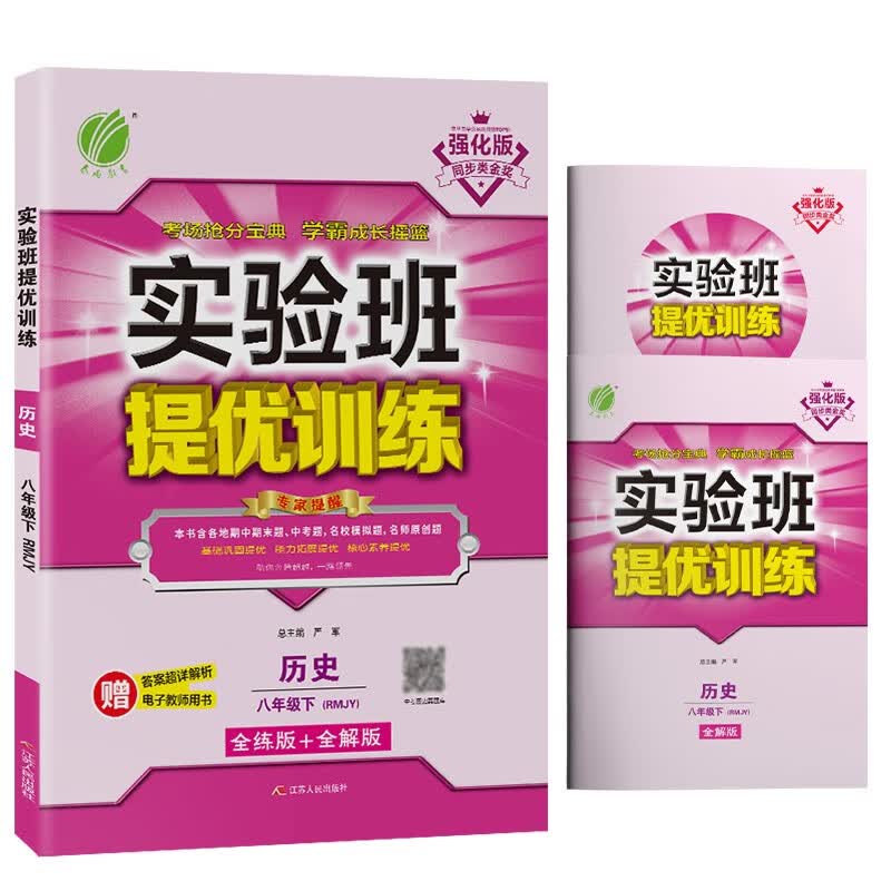 实验班提优训练 初中历史八年级下册人教版(RMJY)课时同步强化练习2022年春 含答案