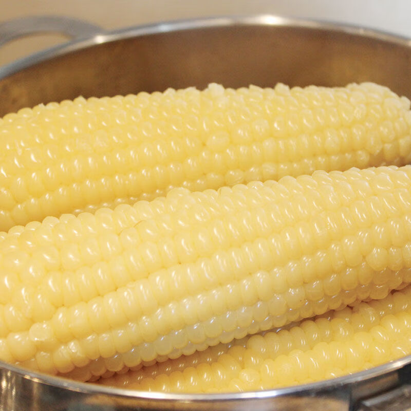 大董占和玉米 大董速冻甜糯玉米一箱20根 白嫩粘水煮糯玉米 黏软糯