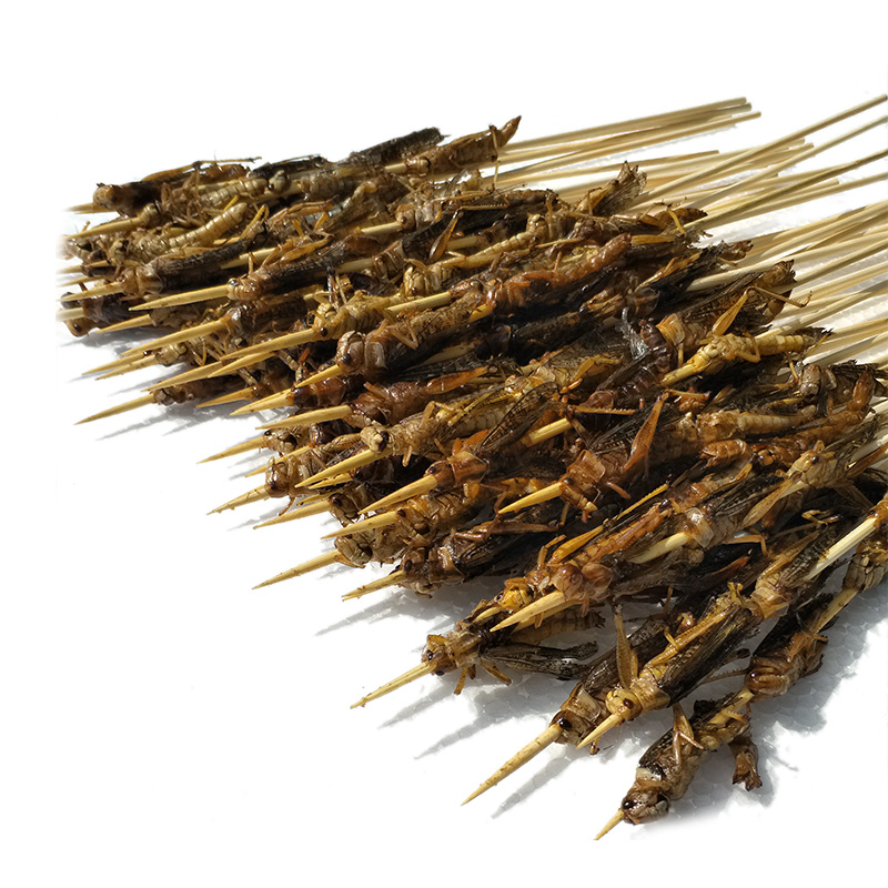 50串冬娜油炸蚂蚱烧烤食材蝗虫食用昆草蜢小串新鲜冷冻半成品商用