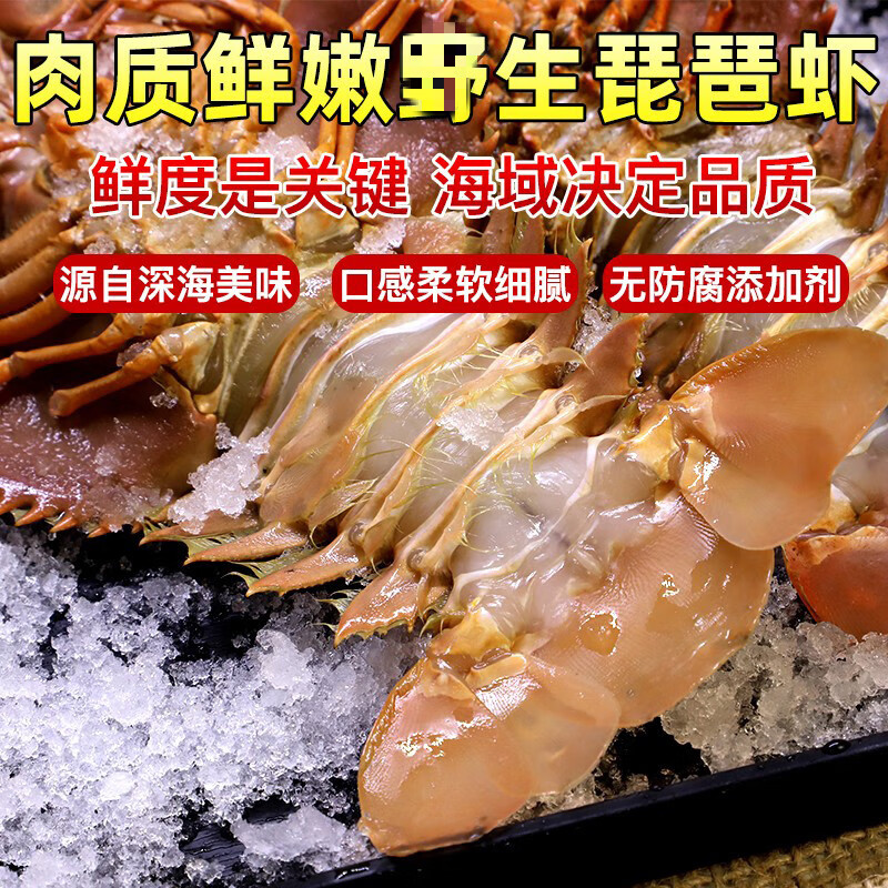广纳力驰生鲜有约东海琵琶虾新鲜九齿扇虾虾姑排冷冻海鲜深海海虾新货