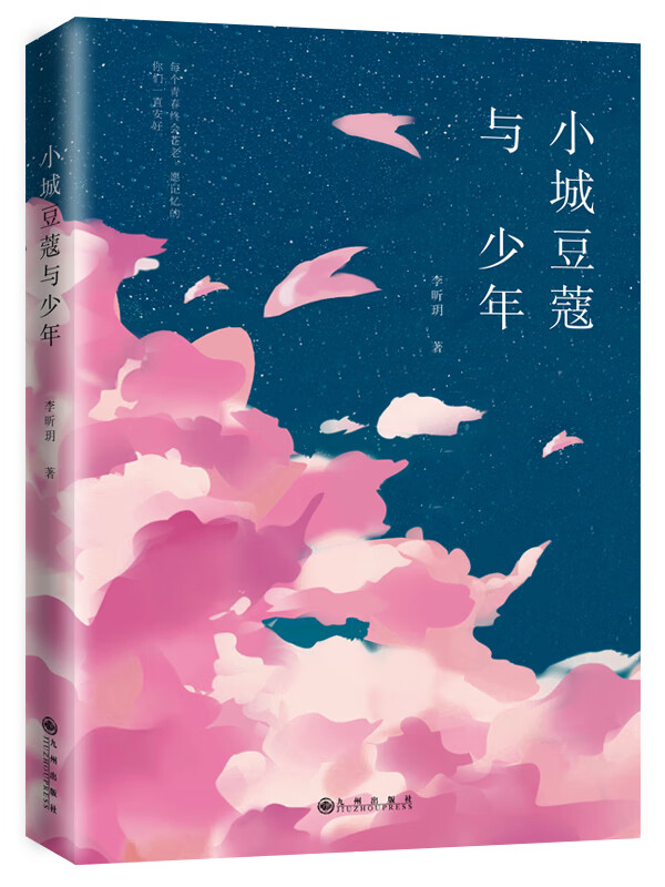 小城豆蔻与少年