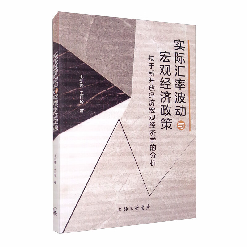 实际汇率波动与宏观经济政策：基于新开放经济宏观经济学的分析
