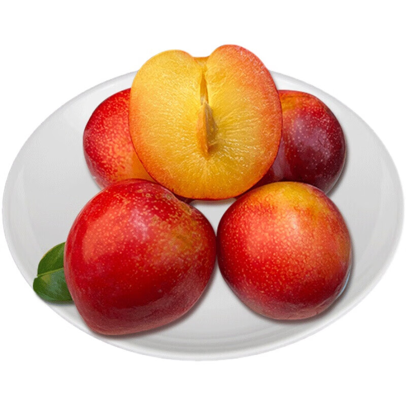 桃李村珠宝李樱桃李情人李孕妇新鲜水果当季脆李 一斤大果