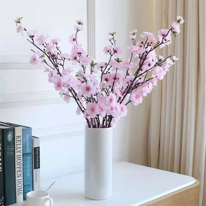 水培梅花鲜枝盆栽冬季耐寒植物花室内插水开花绿植年宵花卉混色梅花 浓香 带花苞10支 虎窝购