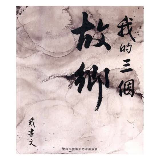 我的三个故乡 传记 戴书文著 中国民族摄影艺术出版社 9787512210394