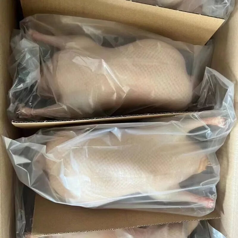 7斤大鸭胚商用 烤鸭胚1只 约4.7斤/只鸭胚