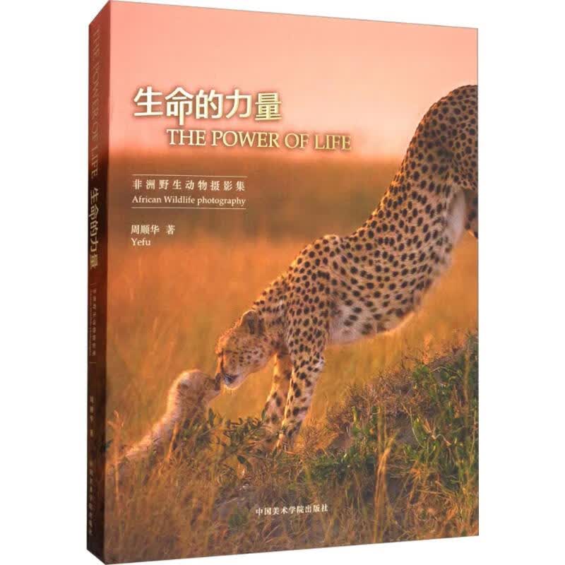 生命的力量 周顺华