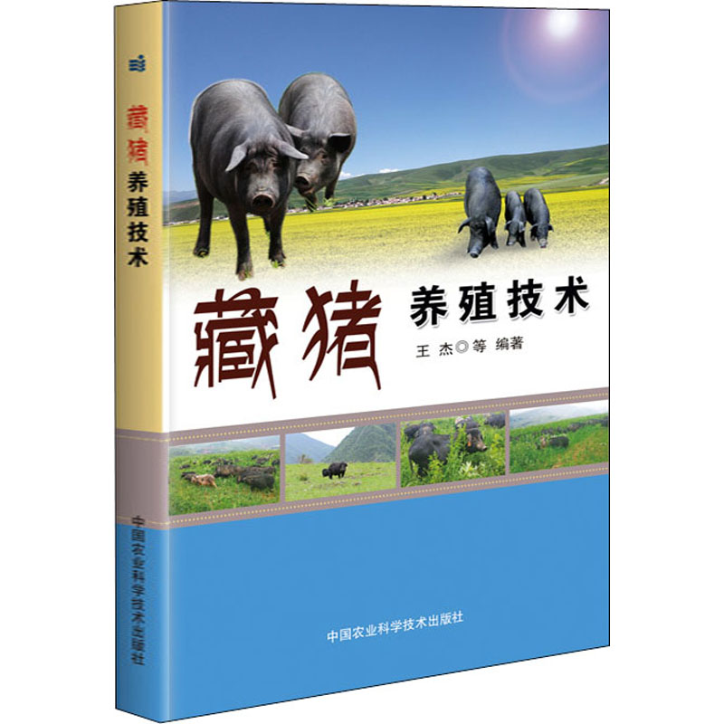 藏猪养殖技术