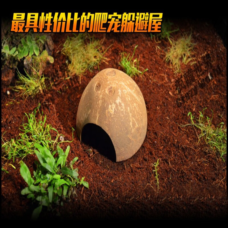 新寵之康天然椰殼躲避 無毒椰子殼制品 烏龜捕鳥蛛蜘蛛蝎子蜈蚣躲避屋洞穴 椰殼9-11cm