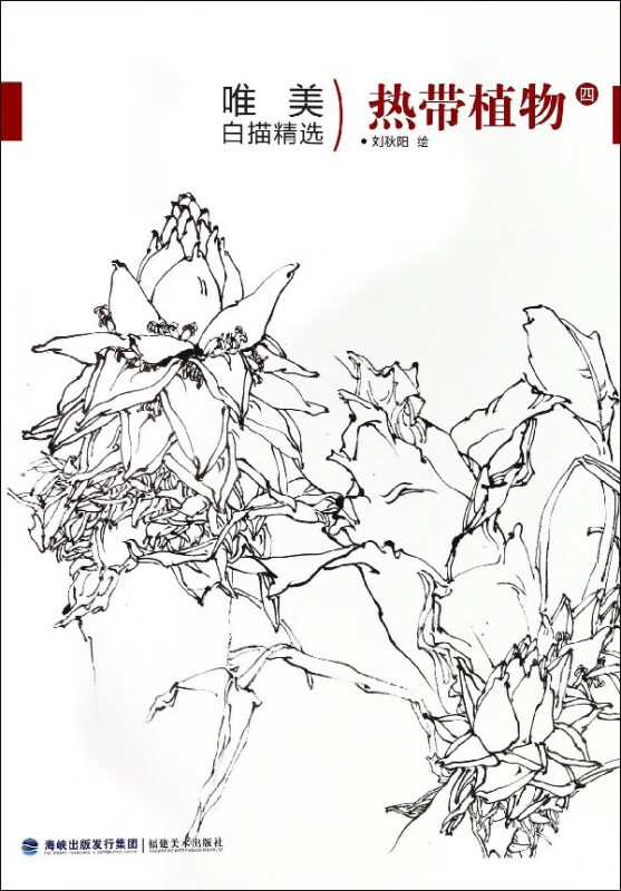 热带植物(4)/唯美白描精选