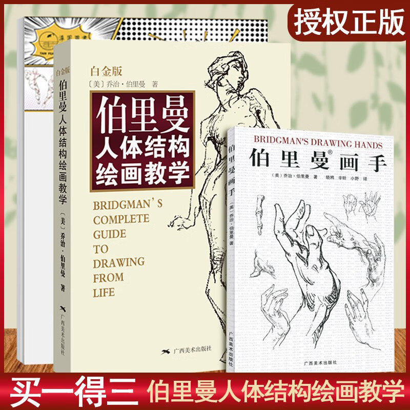 伯里曼人体结构绘画教学白金版书美术入门教材人物速写技法解读自学