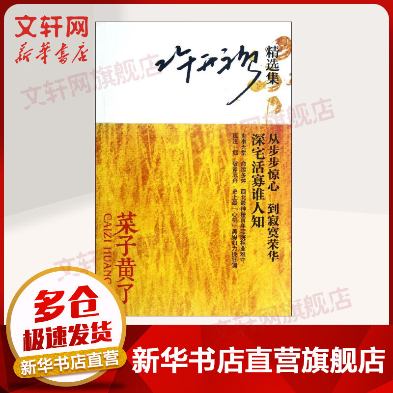 许开祯精选集:菜子黄了