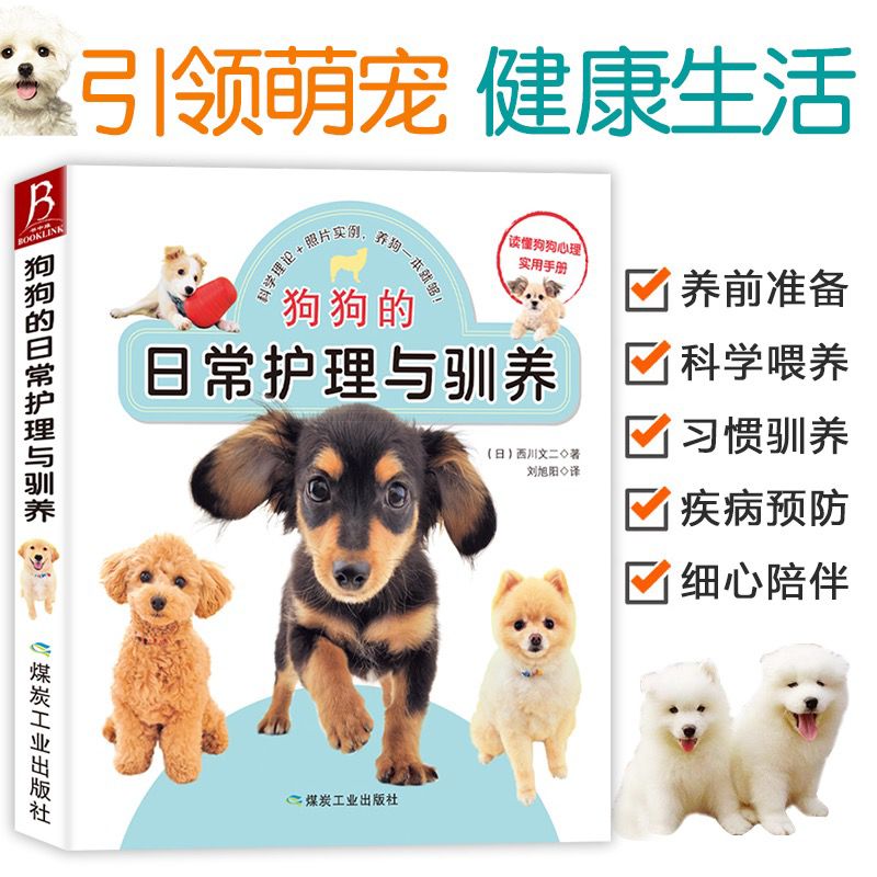 养狗书籍狗狗训练教程狗狗的日常护理与驯养训练狗狗教程训狗书籍训狗教程训犬书训练狗狗的教程书训练狗狗