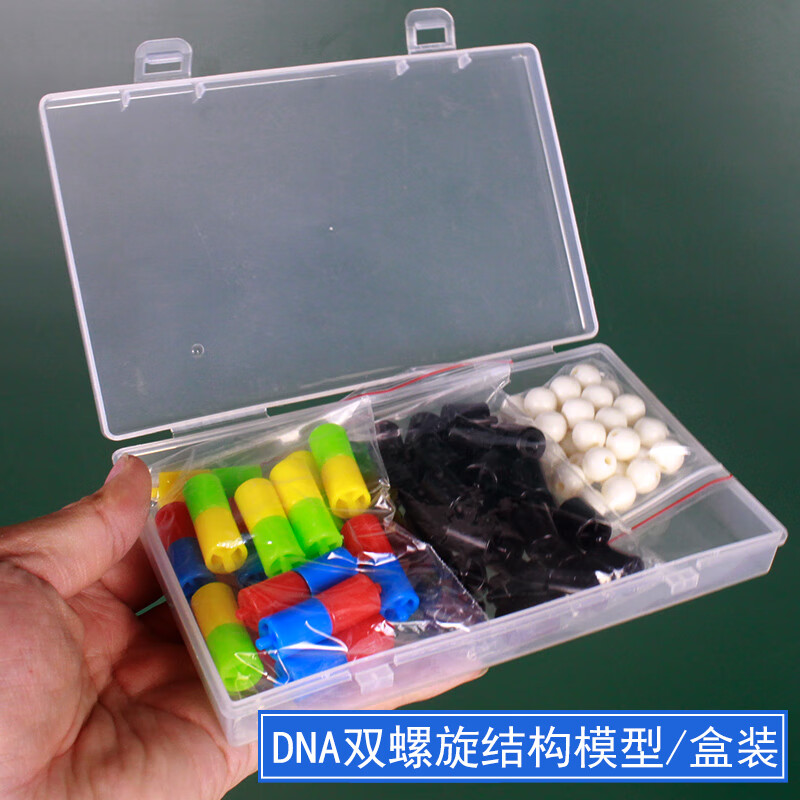科睿才 高中dna双螺旋结构模型分子结构模型碱基对遗传基因生物教学