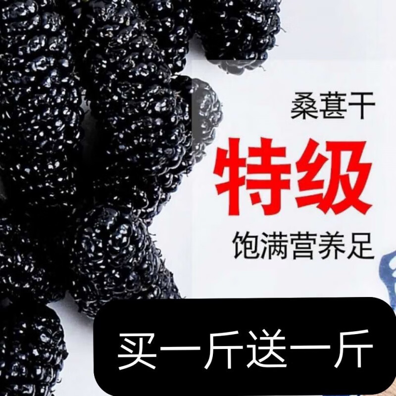 桑椹干 新鲜无沙桑甚干桑椹子桑果水果黑桑葚 桑葚子500g+500g共两斤