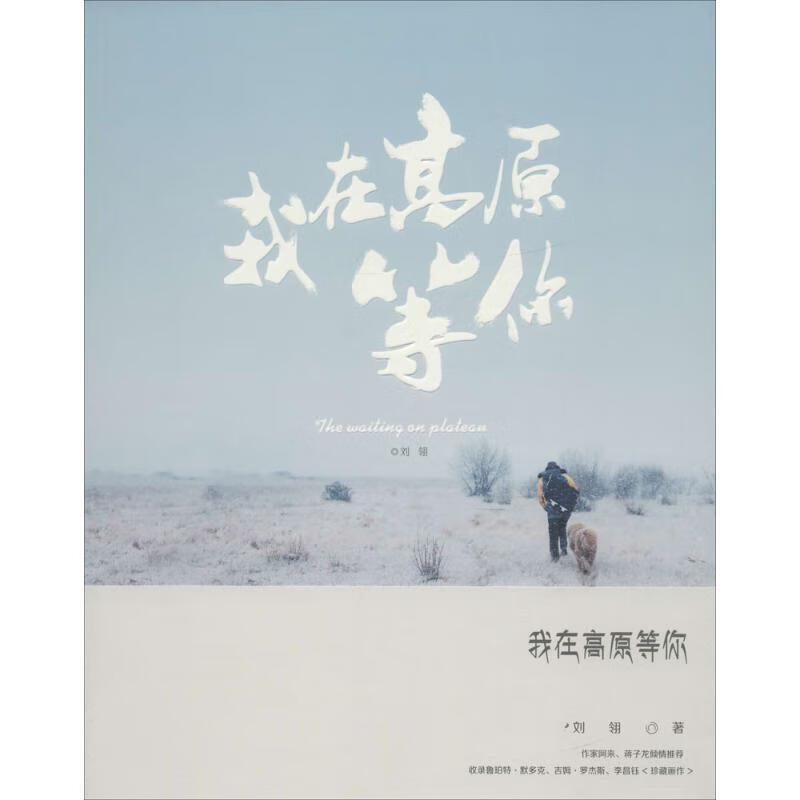 我在高原等你【正版书籍,畅读优品】