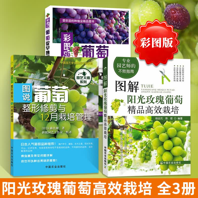 全3册图解阳光玫瑰葡萄精品高效栽培+图说葡萄整形修剪与12月栽培管理+葡萄促早熟栽培配套技术  种植属于什么档次？