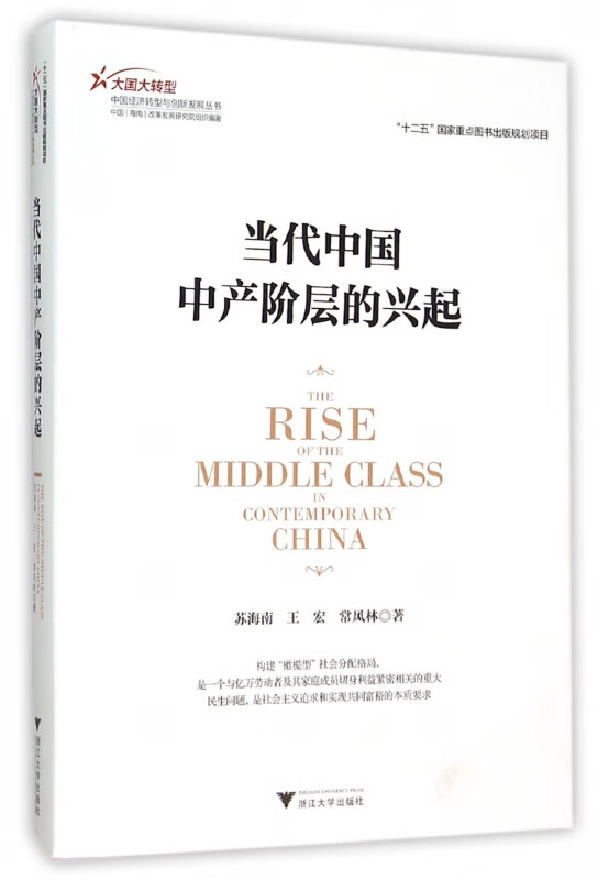 当代中国中产阶层的兴起/大国大转型中国经济转型与创新发展丛书