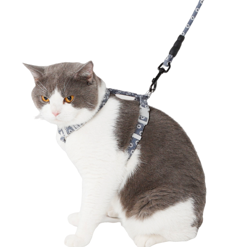 索米拉牌子独具特色的猫绳胸背带，价格亲民且颜值爆表