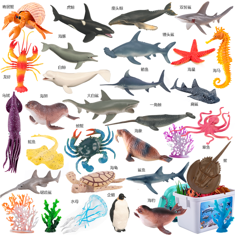 鲨鱼仿真玩具海洋生物动物模型3鱼4鲸鱼5乌贼6寄居蟹儿童认知戏水 32