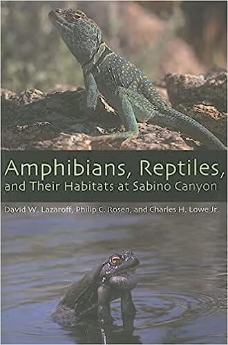 预订 amphibians, reptiles, and their habitats at sabino canyon