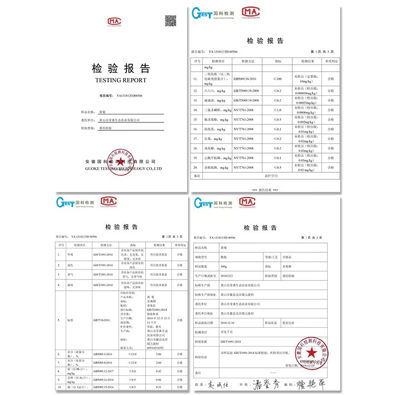 芽典 金丝皇菊 菊花茶叶约40朵评测报告来了！真实测评质量优劣！