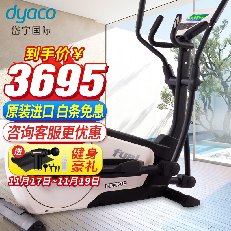 岱宇（DYACO）家用椭圆机「原装进口」电磁控健身器材家用健身车太空漫步机FE300